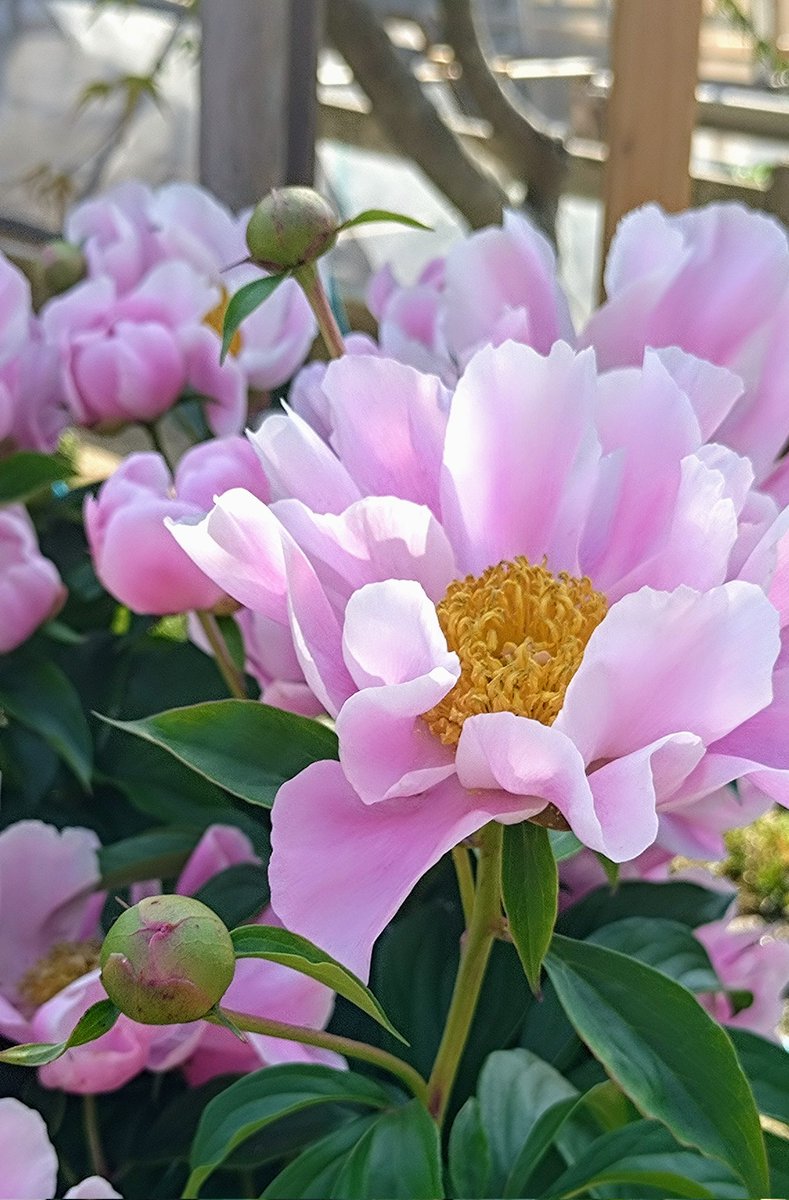 okav.com | yuj002 お愿いします…今日はイカせてくださ二宫ひかり..fbq