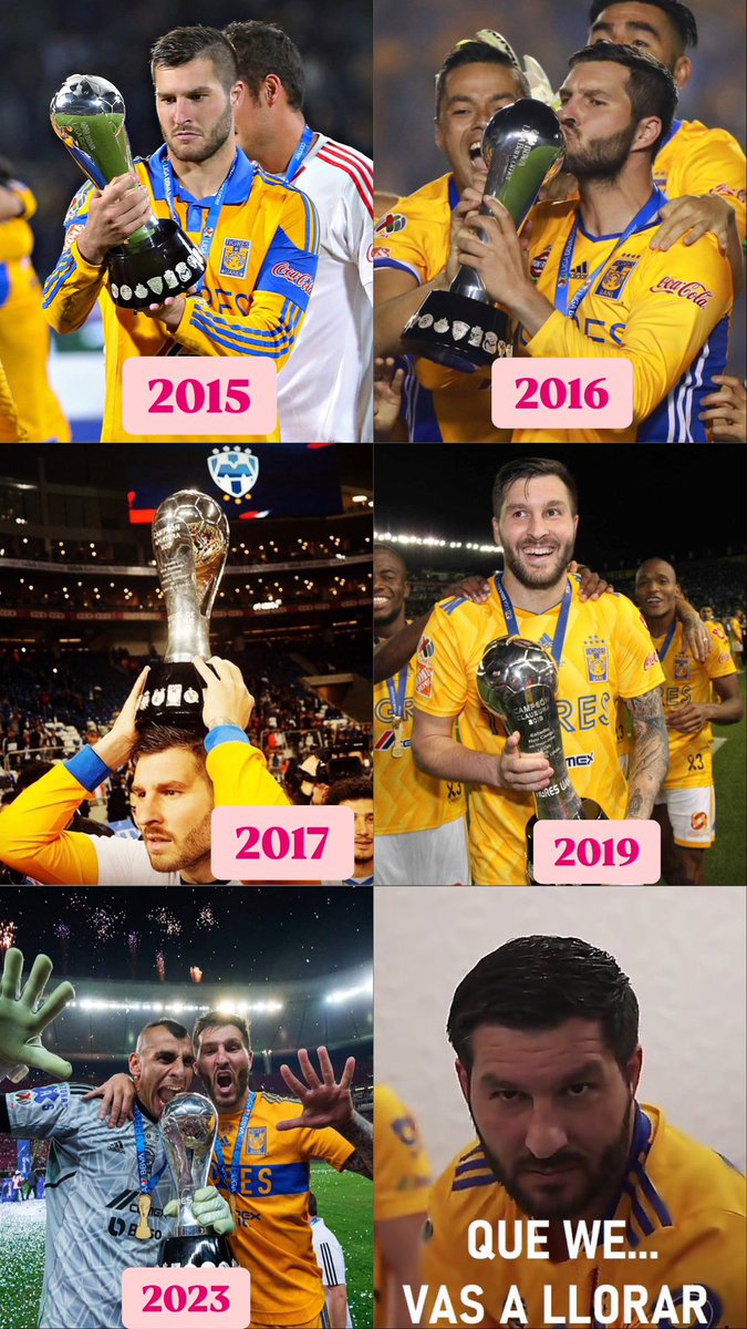 Chistes Tigres 🐯 tweet media