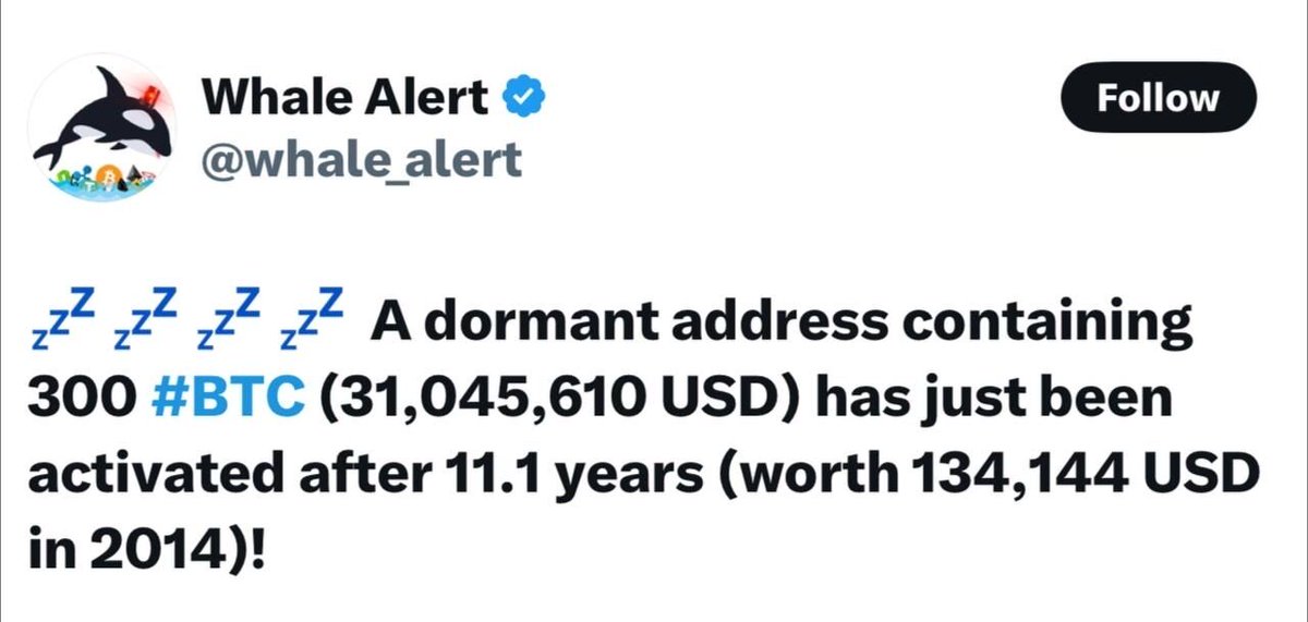 🚨 BREAKING: "Riattivato un portafoglio dormiente con 300 BTC: valore attuale di 31 milioni di dollari dopo 11 anni"