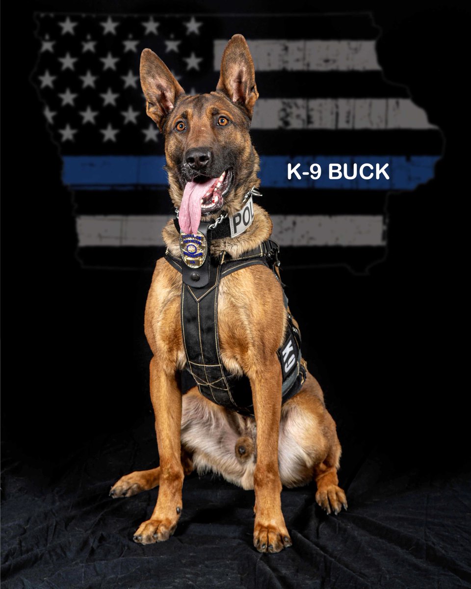 Last week, K9 Buck played a key role in solving a theft case! Items were stolen from an unlocked truck, but thanks to our detectives, they were recovered and a suspect was arrested. Remember to lock up your belongings to prevent crimes of opportunity! 🐾