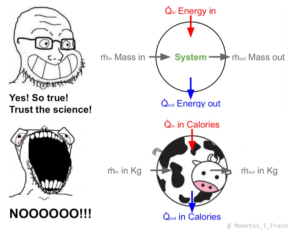 Memetos_T_Fresh's tweet image. Great moments in science 🏆
#SphericalCow