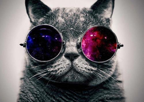 bigcatburger's tweet image. #Awesomesauce