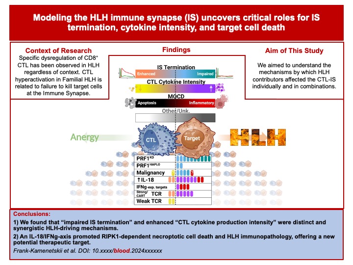 canna_lab's tweet image. "Modeling the HLH immune synapse uncovers critical roles for IS termination, cytokine intensity, and target cell death"
#HLH travels under many names (#MAS, #CRS, ...), all united by T-cell hyperactivation.
doi.org/10.1182/blood.…