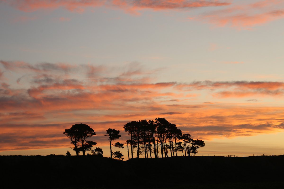 Just me &amp; the trees, watching the sunset...
Hakatere #nz #Aotearoa
Canon 5D3 with EF100-400L lens