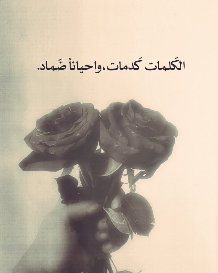 "لا تطلقنّ القول في غير بصر، إن اللسان غيرُ مأمونِ الضّرر" 📍
#حكمة_مسائية