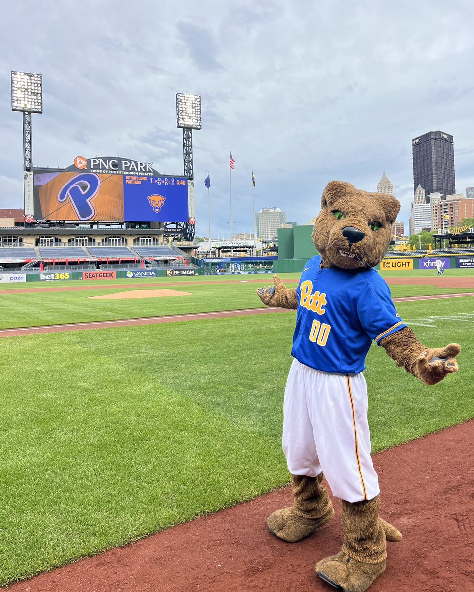 A great night for a ballgame 😸 <a href="/Pitt_BASE/">Pitt Baseball</a>