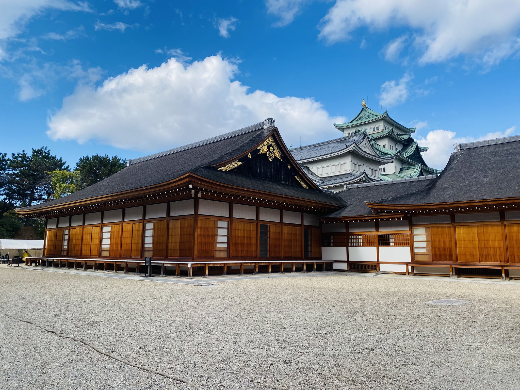 楽天ブックス: 福岡城天守と金箔鯱瓦・南三階櫓 - 荻野忠行