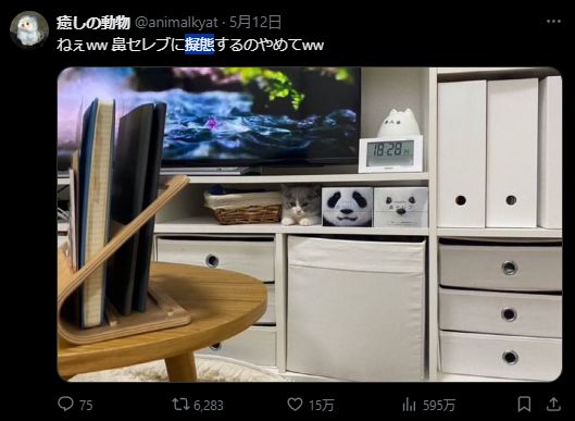 UnseenJapanSite's tweet photo. ”Yo, stop mimicking the tissue boxes lol" https://t.co/E4zJ8wfiJc