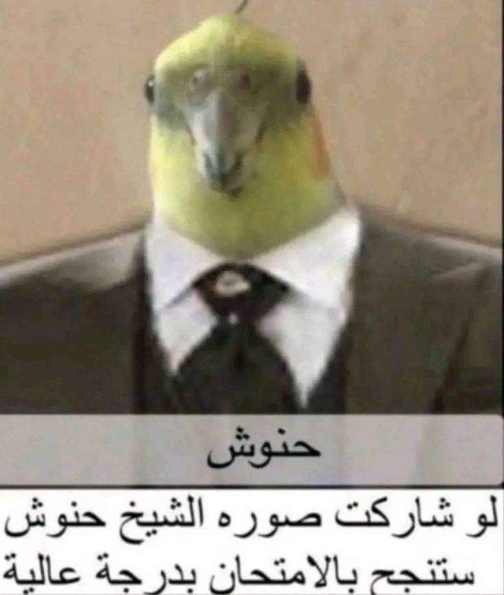 EGYPTIAN PSYCHO (@baselfathiii) on Twitter photo 