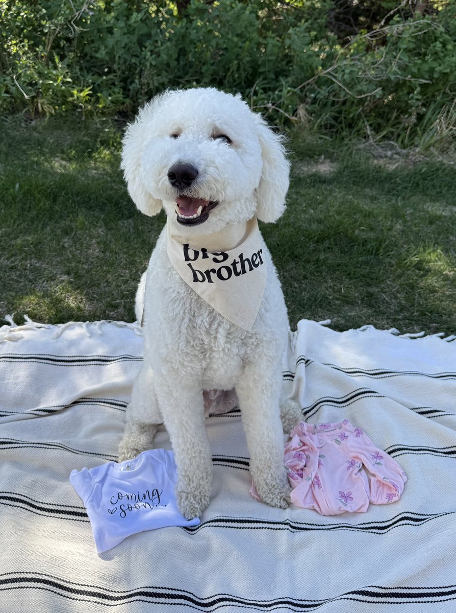 baby Biever coming soon…

was debating posting on here because of all the weirdos but 99% of the guys on here I love so figured I’d let yall know. 

Daddy Biev has a nice ring to it.