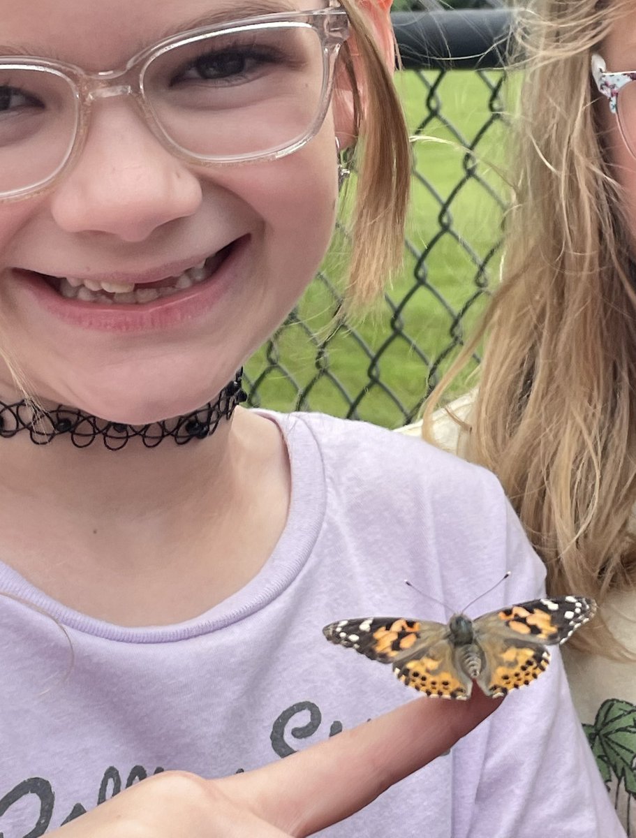 GraceLearning's tweet image. 🐛Butterfly Release 🦋 @NatcherElem