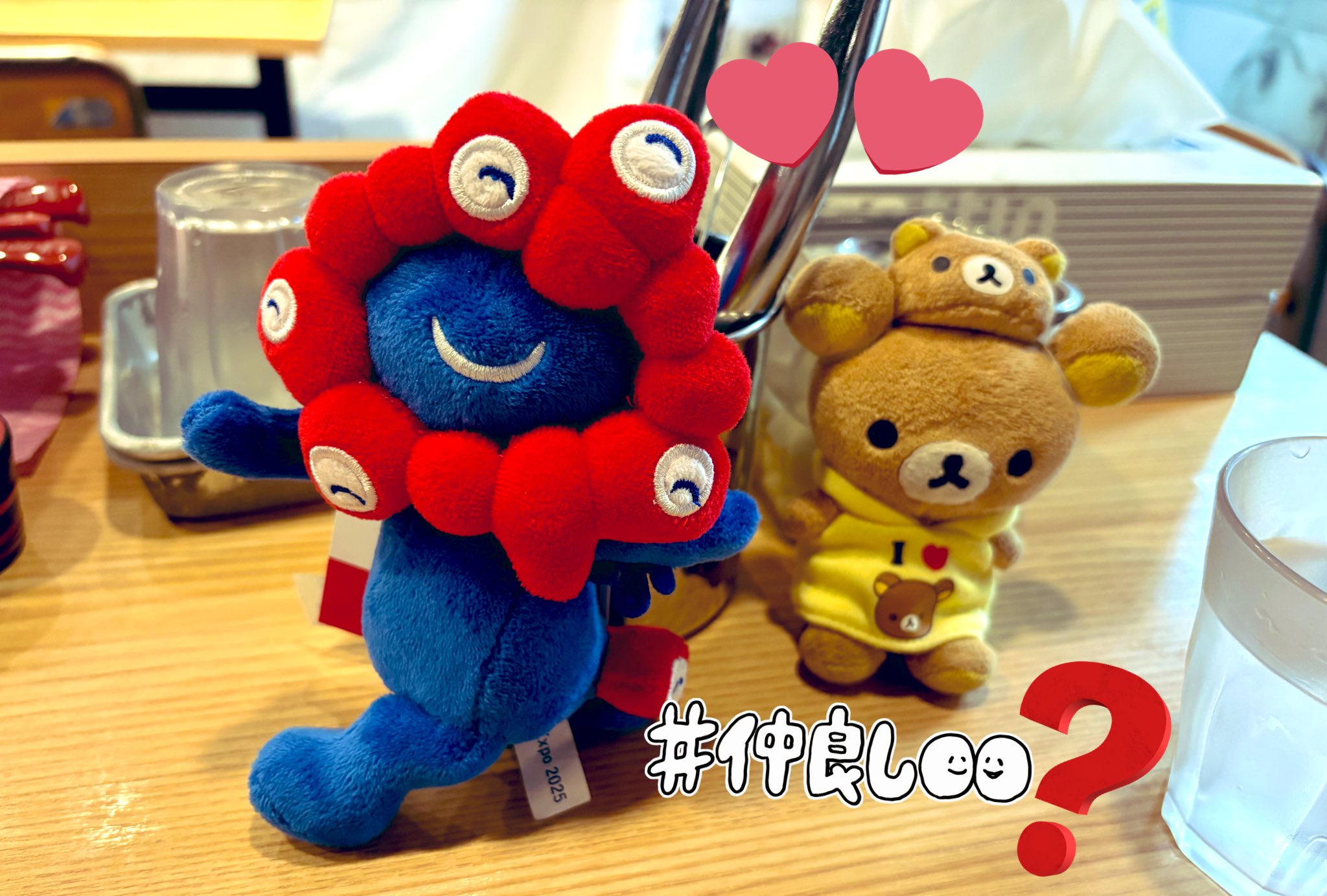 ひかり🐻くまlog⋆* on X: 