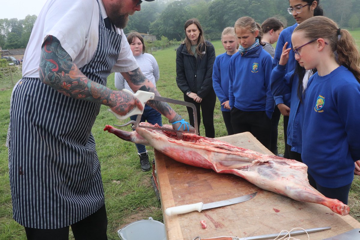 The butchery session at today’s Food &amp; Farming Day <a href="/Balgove/">Balgove Larder</a> thanks to Kev the butcher 👍 #farmtofork #butcher  #newseasonlamb