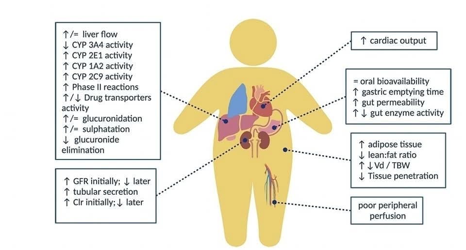 🩺💊💉 Dosificación de antimicrobianos para pacientes obesos⚫️Recomendaciones actualizadas.
▪️💊El peso corporal ideal (PCI) se desarrolló con fines de seguros, no para la dosificación de medicamentos, y básicamente describe el peso que una persona debería tener para tener la