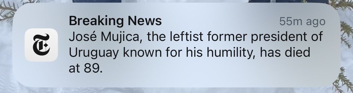 Jennifer Newheiser tweet media