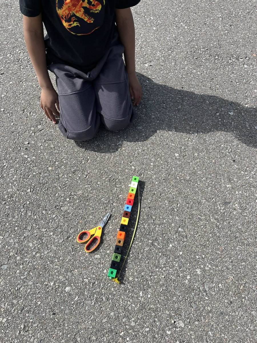 FDKCTK's tweet image. Comparing length! We used so much math in this activity: counting quantity estimation, order.   #dp_math