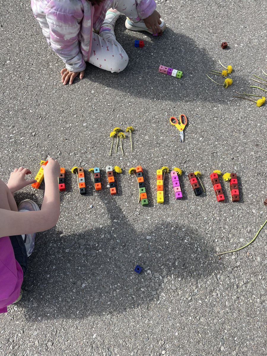 FDKCTK's tweet image. Comparing length! We used so much math in this activity: counting quantity estimation, order.   #dp_math