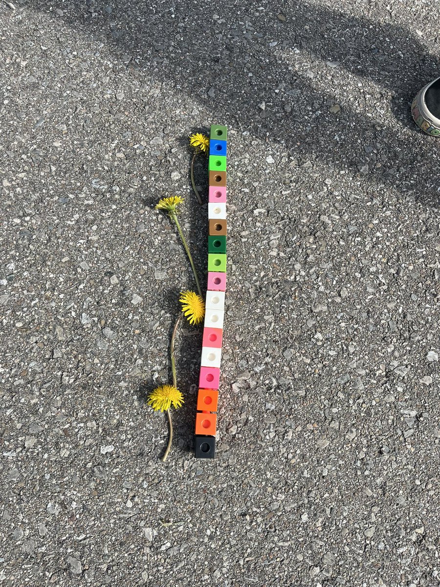 FDKCTK's tweet image. Comparing length! We used so much math in this activity: counting quantity estimation, order.   #dp_math