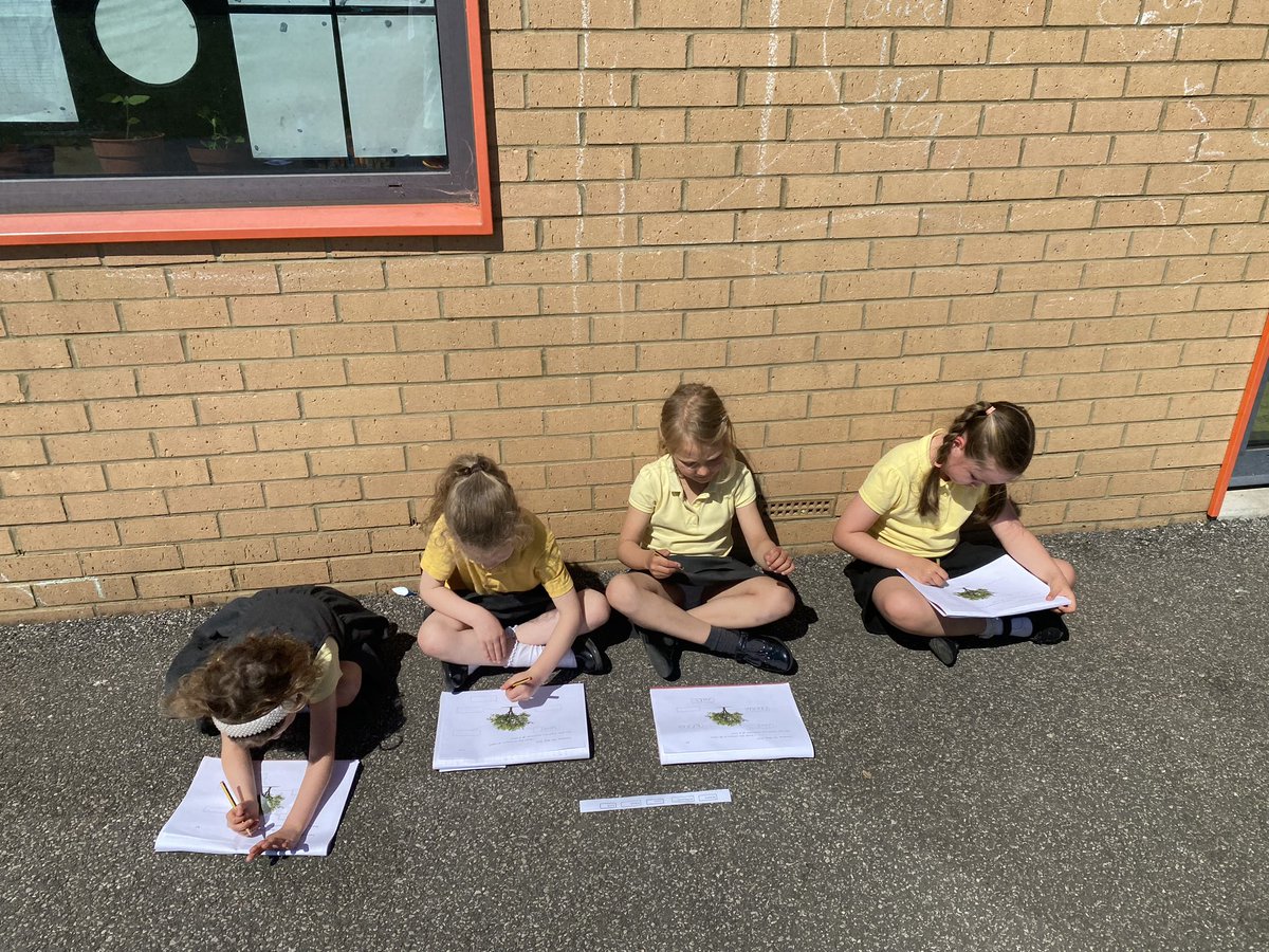 EastfieldPSHull's tweet image. #1AW2024 had our #epsscience lesson outside today. We enjoyed the sunshine whilst we learned the different parts of trees and labelled them in our books.