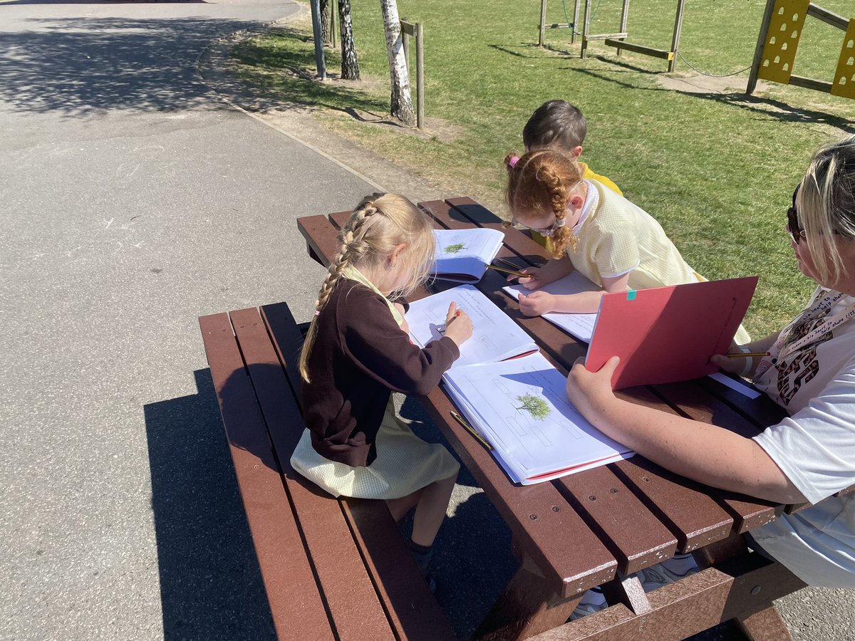 EastfieldPSHull's tweet image. #1AW2024 had our #epsscience lesson outside today. We enjoyed the sunshine whilst we learned the different parts of trees and labelled them in our books.