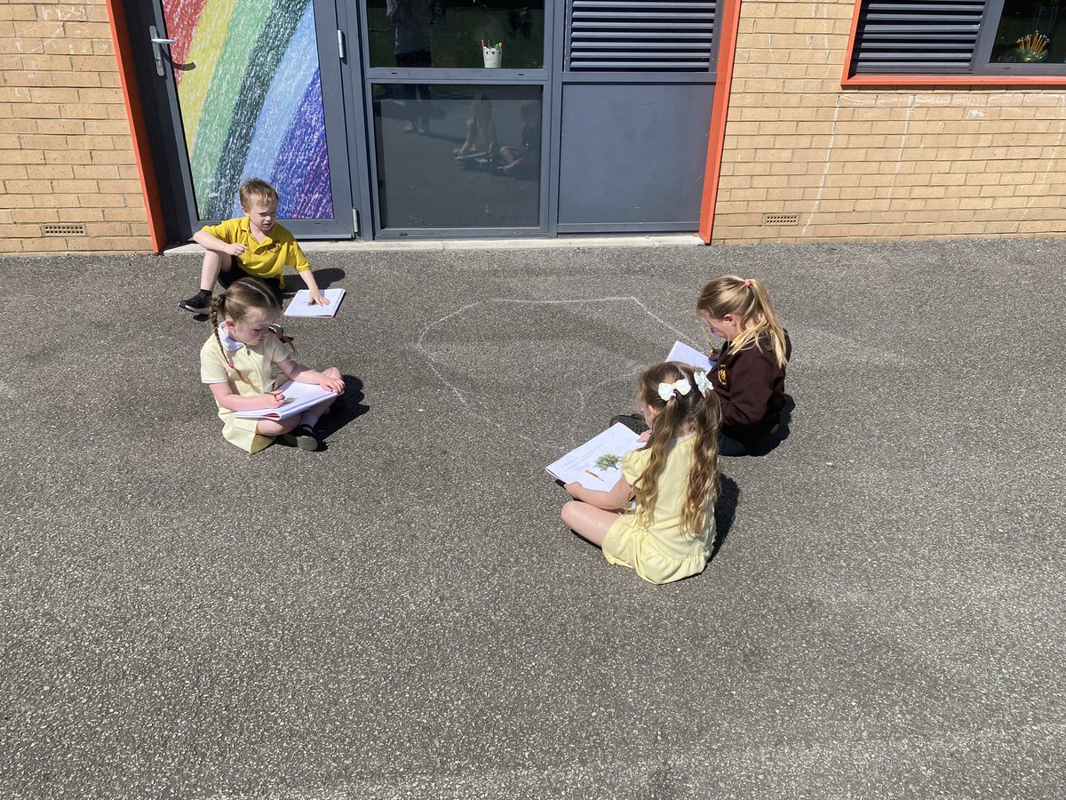 EastfieldPSHull's tweet image. #1AW2024 had our #epsscience lesson outside today. We enjoyed the sunshine whilst we learned the different parts of trees and labelled them in our books.