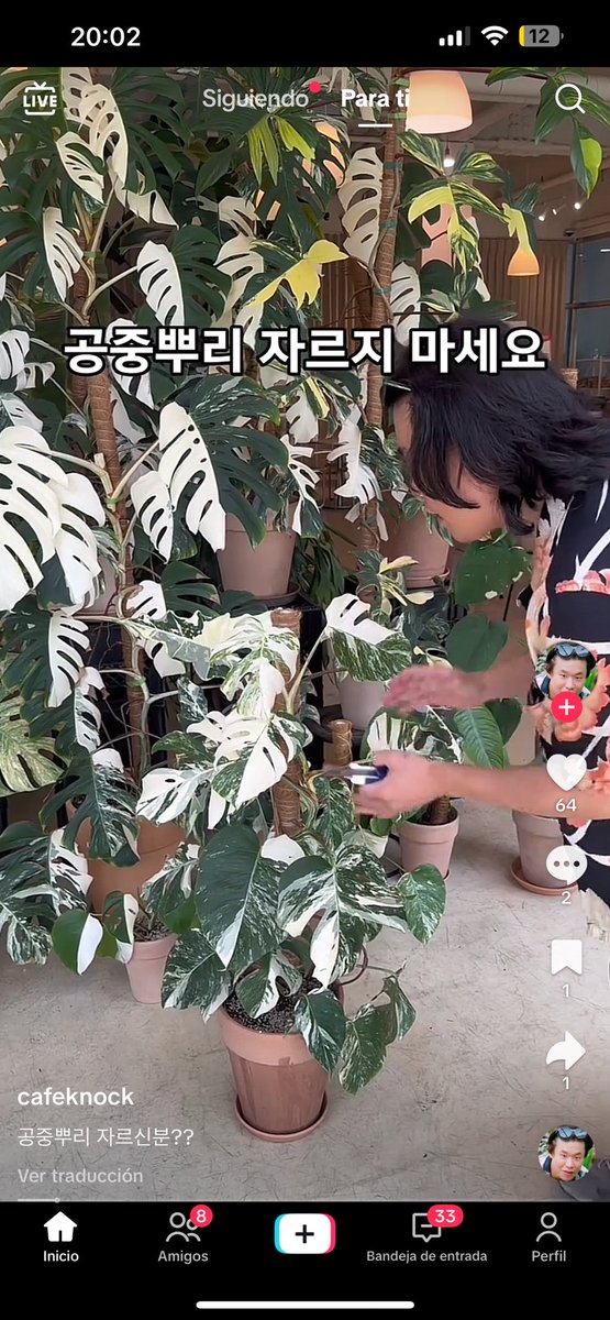 Este coreano es actualmente mi peor enemigo