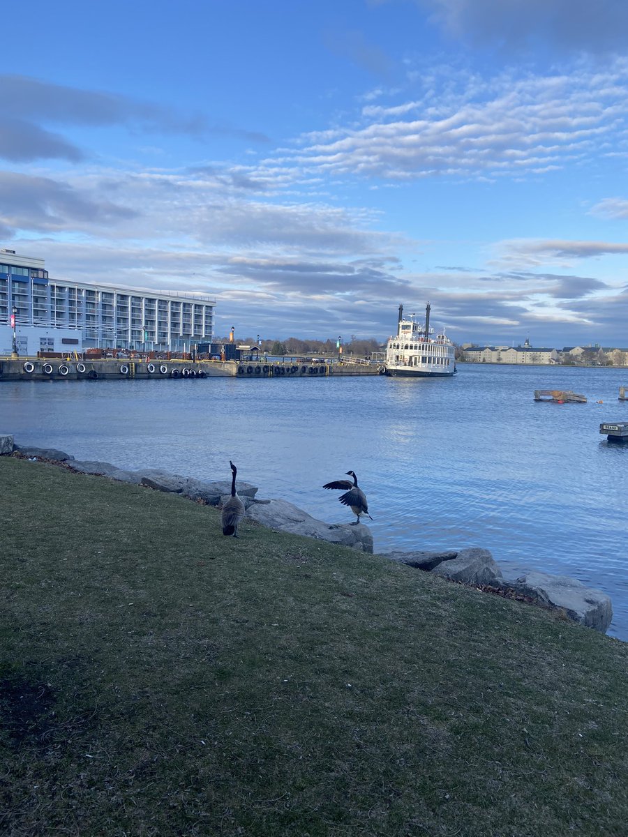 币圈还有alpha吗家人们？
我觉得基本没有了
币友成了币安的alpha
币友成了车头的alpha
币友成了kol的alpha

相比几年前，区块链不酷了，这是最大的问题，让我有点厌倦了

你呢？老哥们