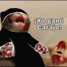 Ivy (@alba_ivy) on Twitter photo 