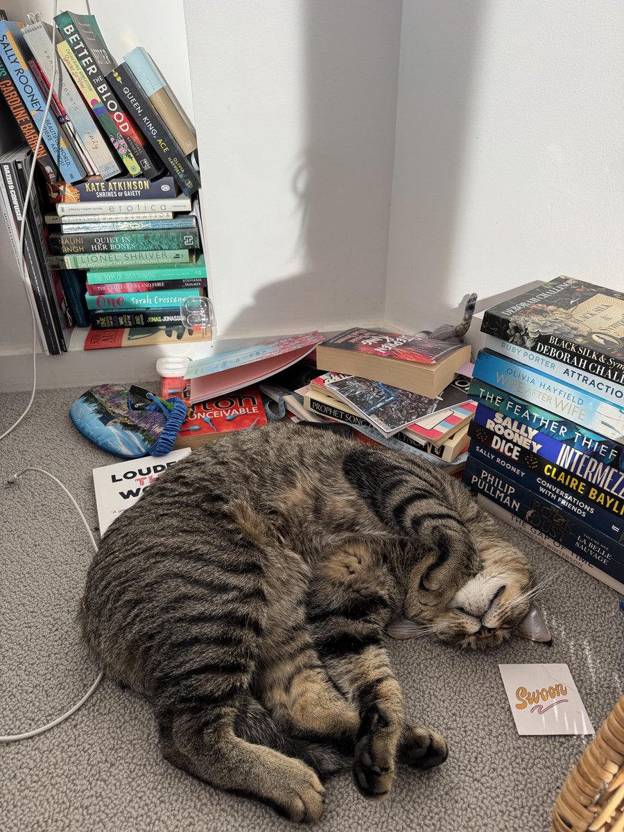 Jane Bloomfield tweet media