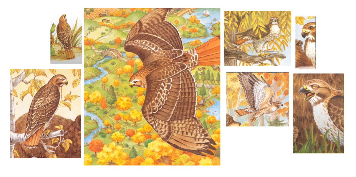 GregBruhl3's tweet image. Hawk Compilation from Franklin the Turtle in Franklin Fibs
#FranklinTheTurtle
#PauletteBourgeois 
#Book