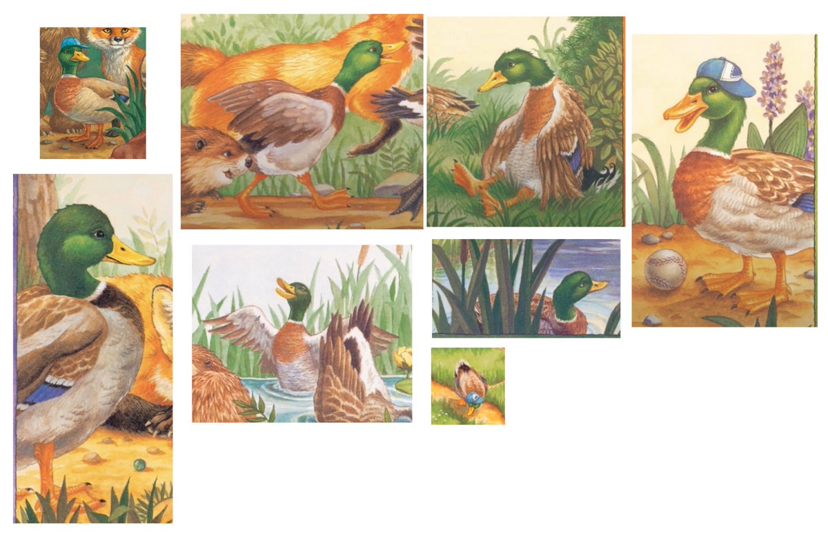 GregBruhl3's tweet image. Duck Compilation from Franklin the Turtle in Franklin is Bossy
#FranklinTheTurtle
#PauletteBourgeois
#Book