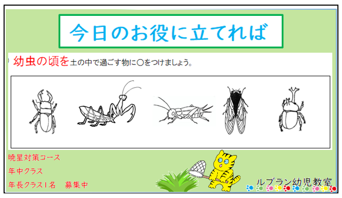 leblanc_keiko's tweet photo. 常識問題です。各学校色々な常識問題を出しています。この問題はオーソドックスな問題ですので､間違わないようにしましょうね。
#ルブラン幼児教室 #小学校受験 #解き方がわからない  #常識問題  #完全個別指導小学校受験 #港区幼児教室 #年長 #年中 #年長クラス   #小学校 https://t.co/bDBF2a8Qsj