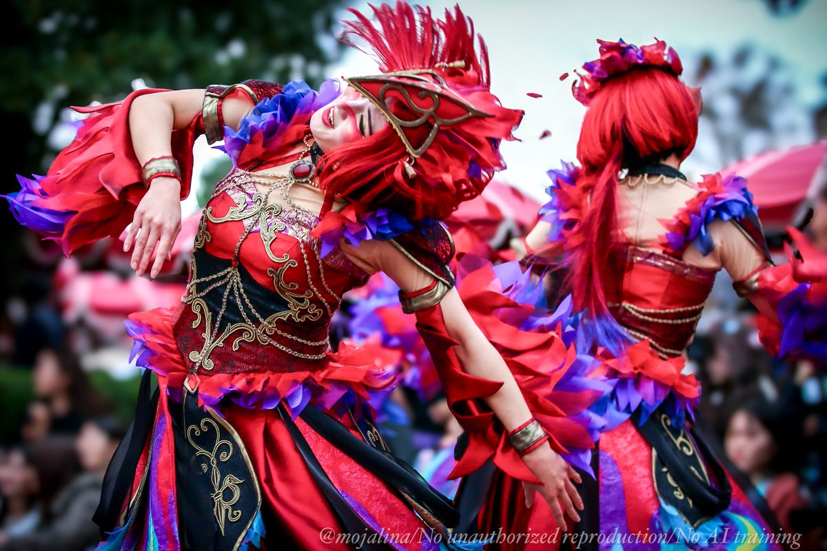 2024.11.5 Into the frenzy🎃 オウムダンサー🦜 #intothefrenzy