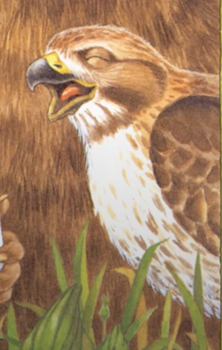 GregBruhl3's tweet image. Hawk from Franklin the Turtle in Franklin Fibs   
#Book 
#FranklinTheTurtle 
#PauletteBourgeois 
1