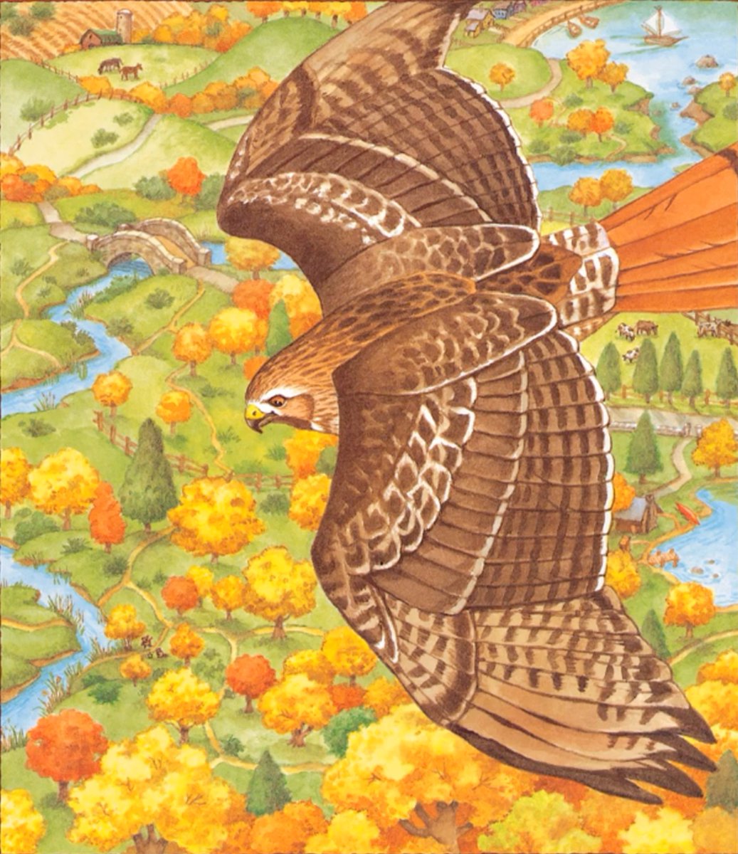 GregBruhl3's tweet image. Hawk from Franklin the Turtle in Franklin Fibs   
#Book 
#FranklinTheTurtle 
#PauletteBourgeois 
1