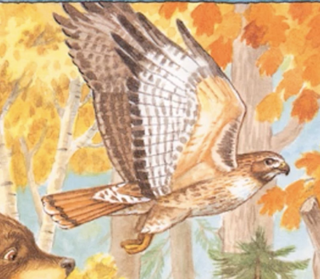 GregBruhl3's tweet image. Hawk from Franklin the Turtle in Franklin Fibs
#Book
#FranklinTheTurtle
#PauletteBourgeois
2