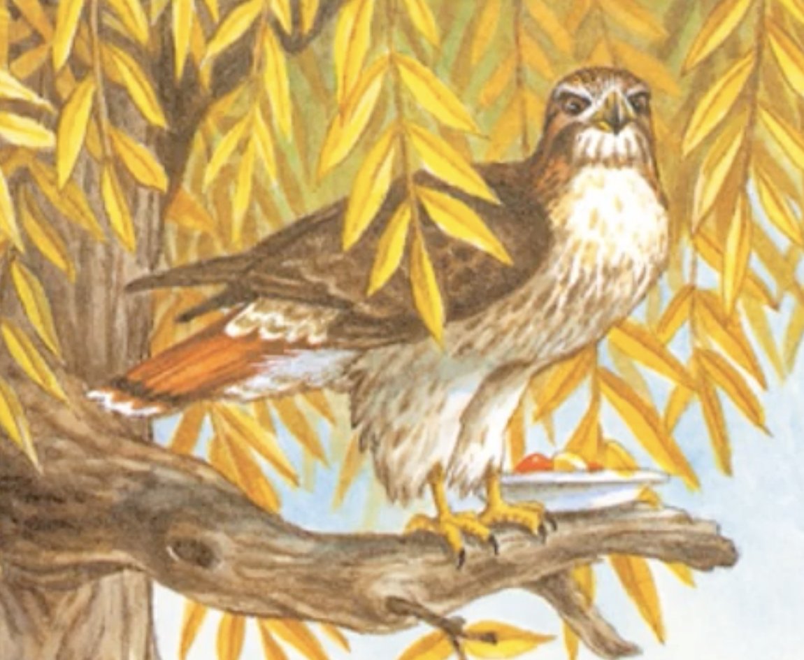 GregBruhl3's tweet image. Hawk from Franklin the Turtle in Franklin Fibs
#Book
#FranklinTheTurtle
#PauletteBourgeois
2