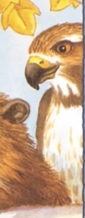 GregBruhl3's tweet image. Hawk from Franklin the Turtle in Franklin Fibs
#Book
#FranklinTheTurtle
#PauletteBourgeois
2