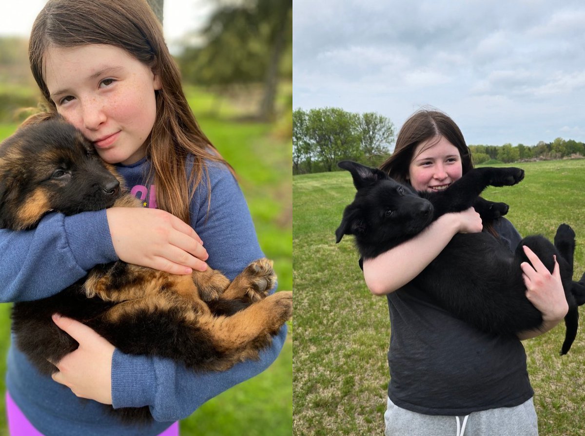 Size comparison.  Strider at 9 weeks vs Nox at 9 weeks.