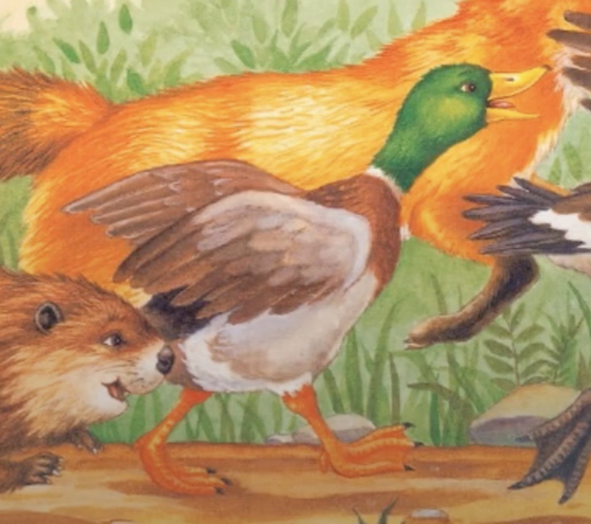 GregBruhl3's tweet image. Duck from Franklin the Turtle in Franklin is Bossy 
#Book 
#FranklinTheTurtle 
#PauletteBourgeois 
1