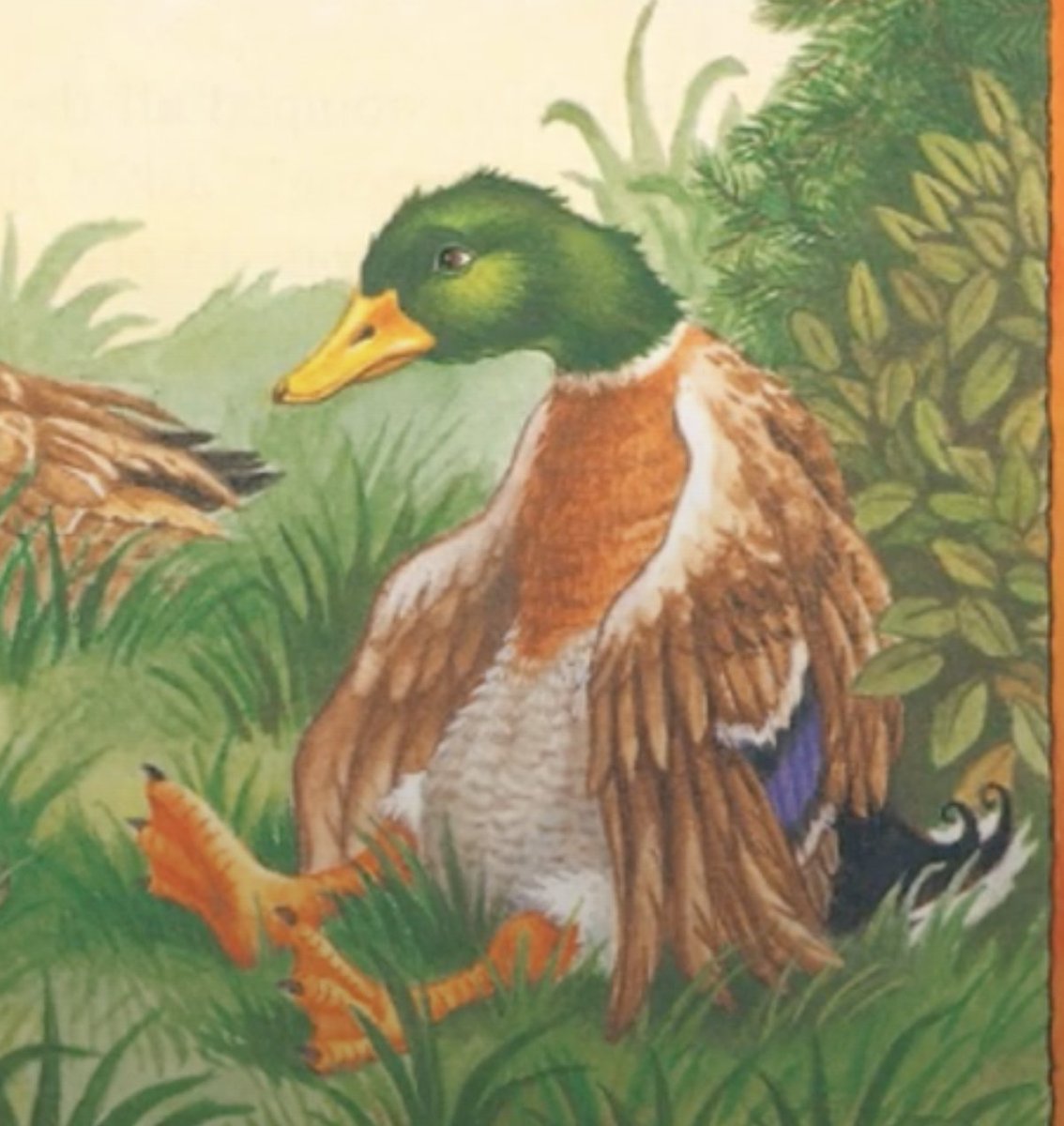 GregBruhl3's tweet image. Duck from Franklin the Turtle in Franklin is Bossy 
#Book 
#FranklinTheTurtle 
#PauletteBourgeois 
1