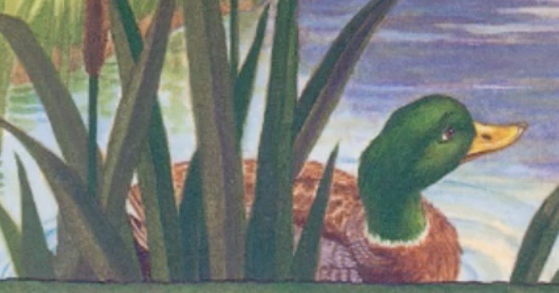 GregBruhl3's tweet image. Duck from Franklin the Turtle in Franklin is Bossy
#Book
#FranklinTheTurtle
#PauletteBourgeois
2