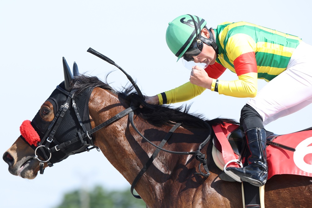おはようございます。本日はJRA東京、京都、新潟競馬を、地方競馬は