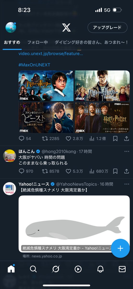 sea_cam_p's tweet photo. スナメリに？！ https://t.co/hcfmdEEW8O