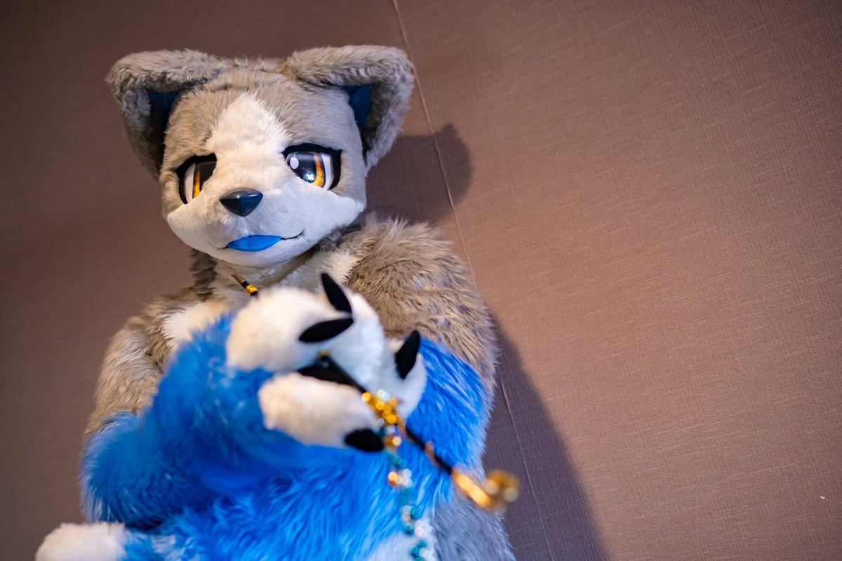 #いぬかのなにか