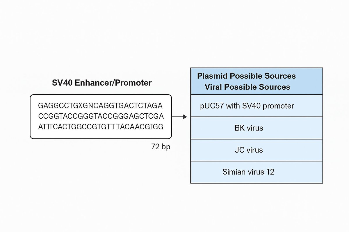 In science, if you find something, you need to be very certain of what you have found. 

Unless you can find an entire sequence identifying a virus, bacteria, et cetera, you must consider the possibilities, including but not limited to, other organisms sharing similar genetic