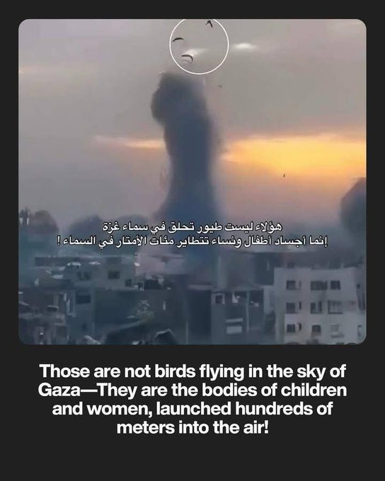 elj_5's tweet photo. We are destroying the world 💔💔💔 https://t.co/4vEu7FHHBY