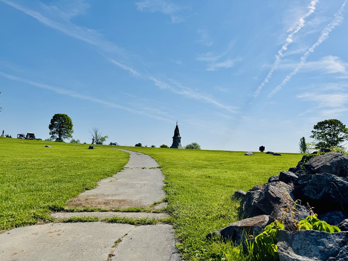 History with Waffles tweet media