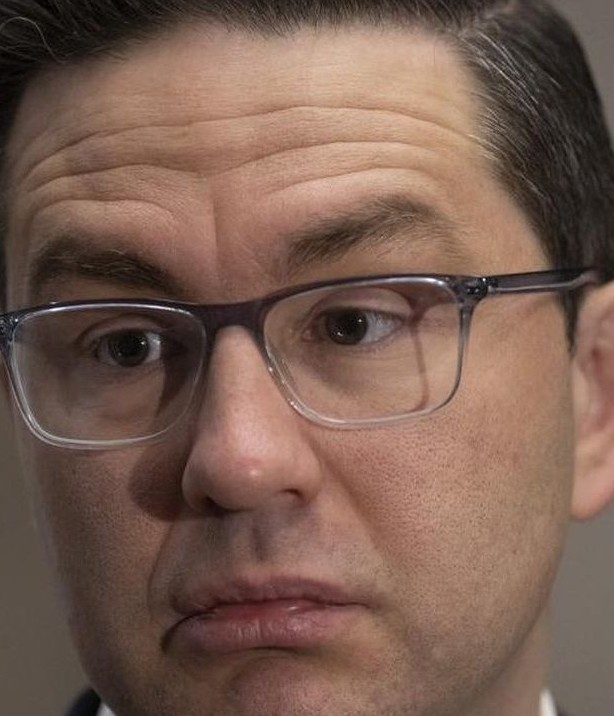 Roddy 🇨🇦 tweet media