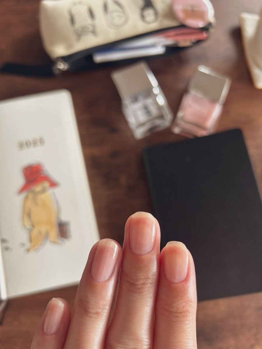 nyon_hanko's tweet photo. おはようございます🐻‍
手帳とネイルは気分をあげてくれる。
 #MOLESKINE #NAILSINK https://t.co/4wlY2UlEVZ